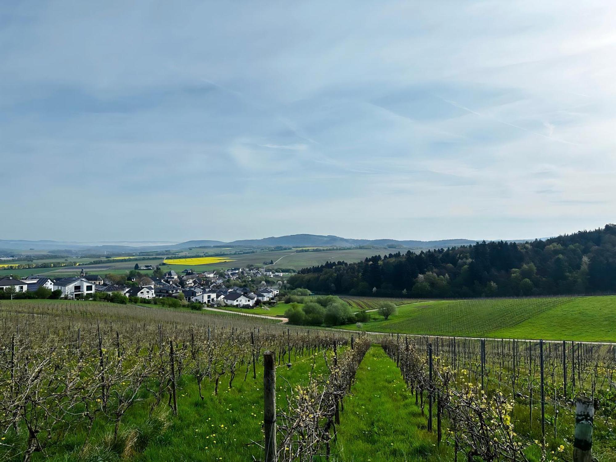 Ferienwohnung Moselherz - Urlaub Im Wein- Und Ferienort Bekond Buitenkant foto
